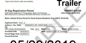 Domestic Security | Temporary License Plates